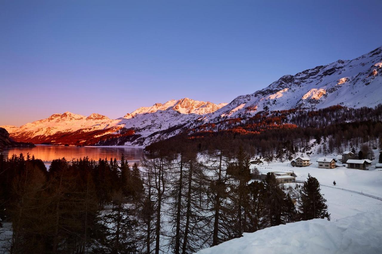 Maloja Palace Residence Engadin-St Moritz Co2-Neutral Eksteriør bilde