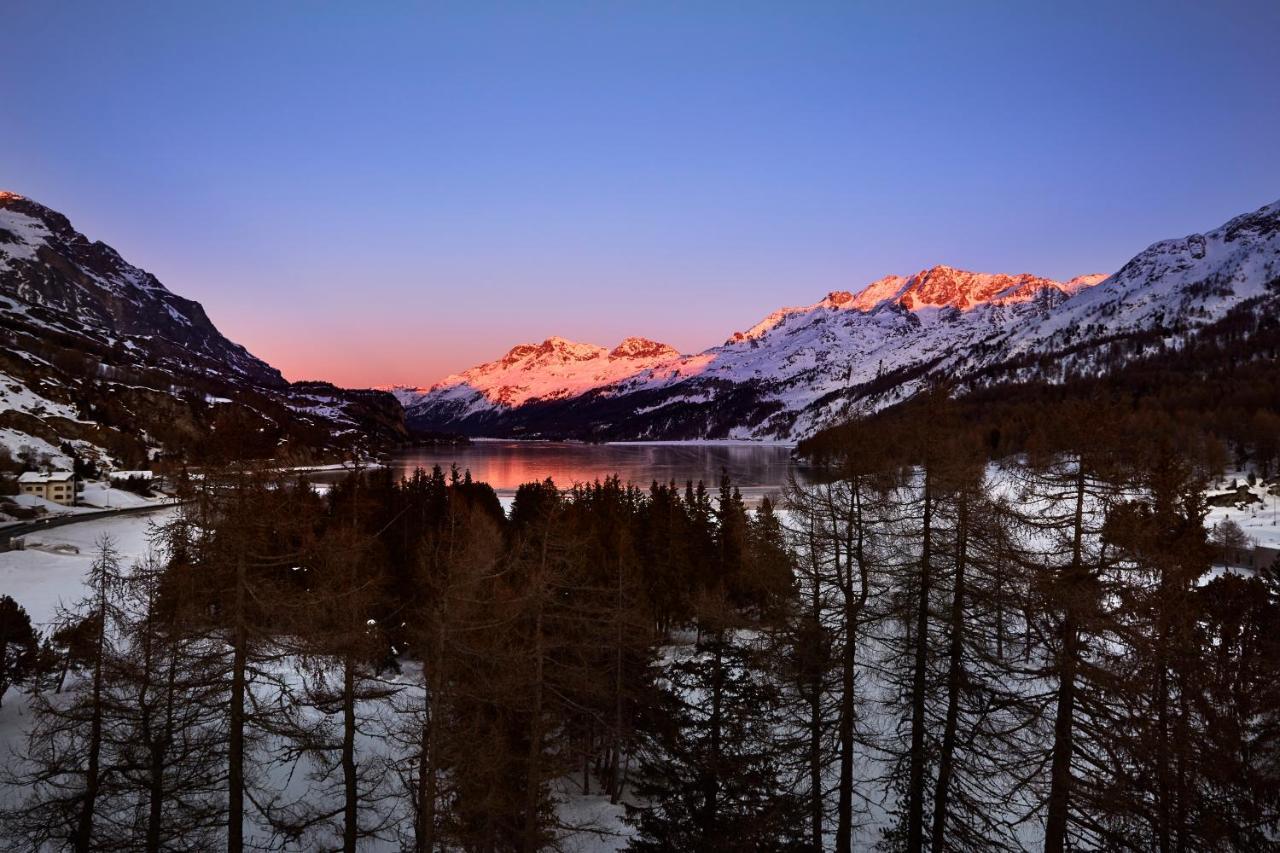 Maloja Palace Residence Engadin-St Moritz Co2-Neutral Eksteriør bilde